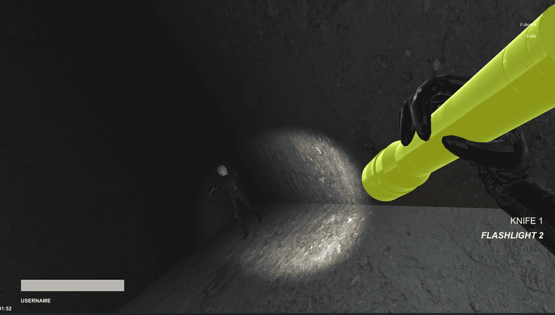 First Person Shooter